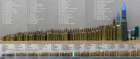 Rifle Caliber Size Comparison Chart