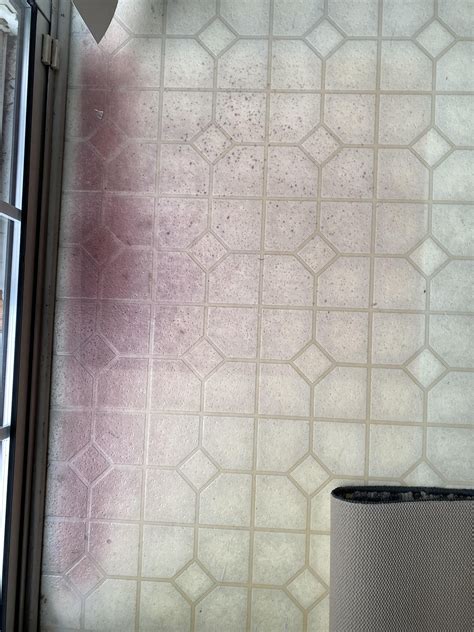 Is This Mold Or Is The Floor Just Stained Purple From An Older Mat R