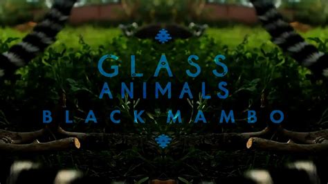 Glass Animals Black Mambo Live Jungle Slang Audio Youtube