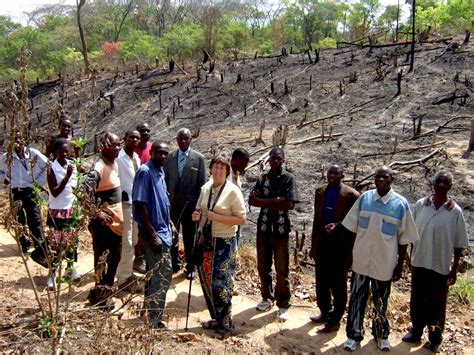 Forest Conservation And Deforestation In Malawi Africa