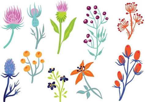 Wildflowers Vector Art Icons And Graphics For Free Download