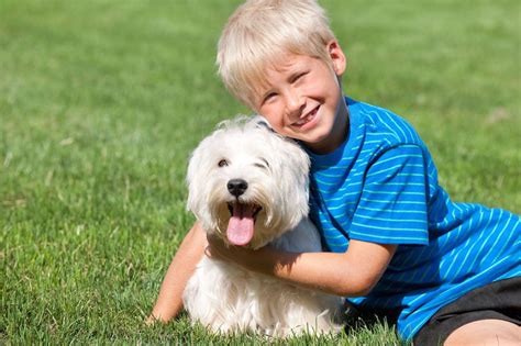 Vi sono alcune razze di cani che vivono tranquillamente all'interno di un appartamento, indipendentemente dalla loro dimensione fisica. Cani adatti ai bambini: le razze da appartamento ...