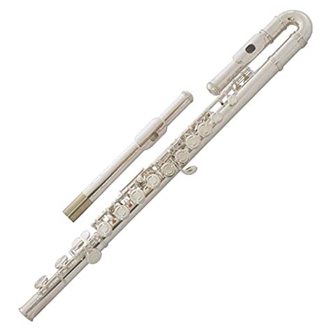 Instrumentos De Viento 7 Flautas Traveseras únicas