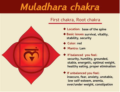 Chakra clearing is an important part of any energy work practice. Know Your Root Chakra And How To Activate Its Power ...