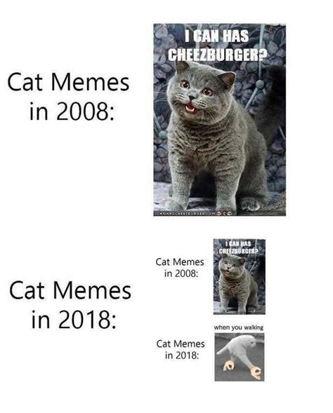 Cat Memes In 2008 Vs Cat Memes In 2018 Half Cat Panorama Fail Cat
