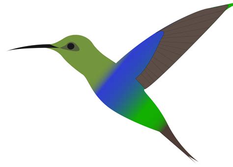 Onlinelabels Clip Art Humming Bird