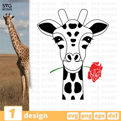 Free Giraffe Svg File For Cricut Svg Ocean