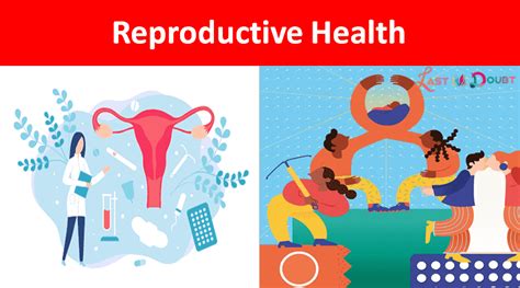 Ncert Solution Class 12th Biology Chapter 4 Reproductive Health Notes