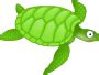 Clipart Green Sea Turtle