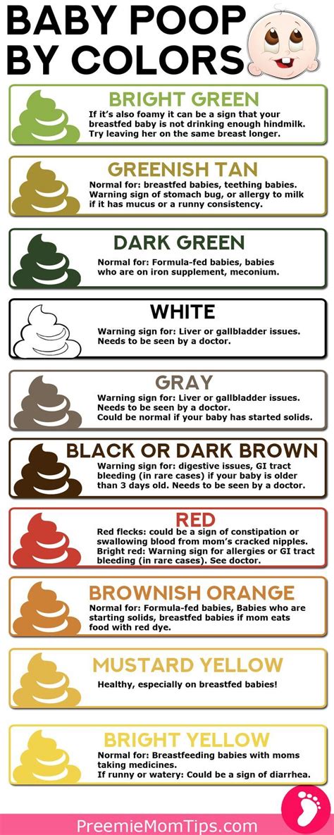 Why Is My Poop Green Stool Colors Explained Types Of Poop What