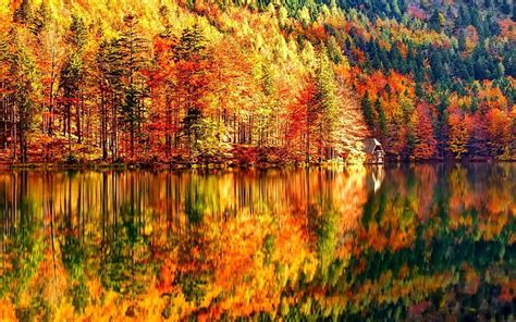 X Px Free Download Hd Wallpaper Autumn Images For Backgrounds Desktop Tree Lake
