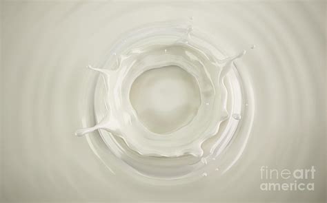 Milk Crown Splash With Ripples Photograph By Leonello Calvettiscience