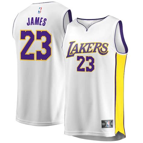 Lebron James La Lakers Jerseys Nike Shoe Match