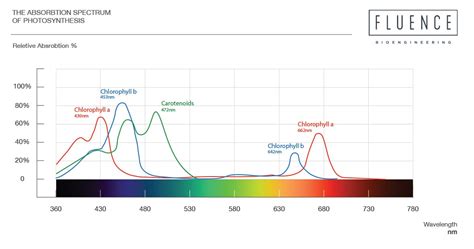 Plants use all this spectrum of colors present in sunlight, the most important being red and blue. Do Plants Use Green Light | Fluence Bioengineering