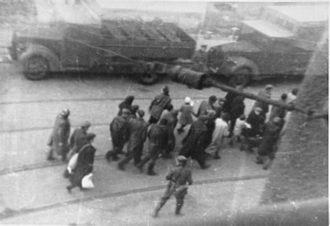 jews captured by the ss during the suppression of the warsaw ghetto uprising march past the st