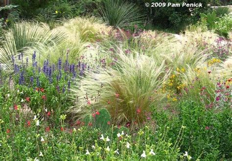 Incorporating Ornamental Grasses Into Your Landscape Zen Of Zada