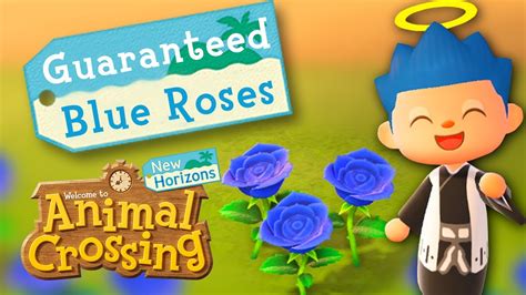 Bred orange + bred orange = black. How to Breed Blue Roses New Horizons GUARANTEED (CHECK THE ...