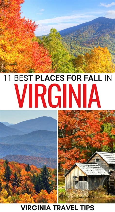 11 Places To Find The Prettiest Fall Foliage In Virginia