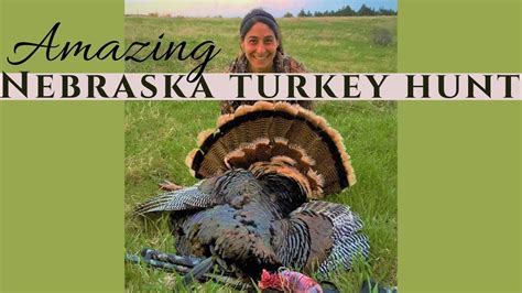 Amazing Turkey Hunt Hybrid Riomerriam Nebraska Public Land Diy