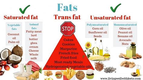 A Single Meal Containing High Saturated Fat Can Cause Your Focus To