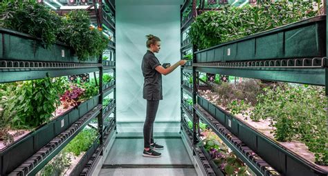 The Most Innovative Vertical Farming Companies Of The Decade — Agritecture
