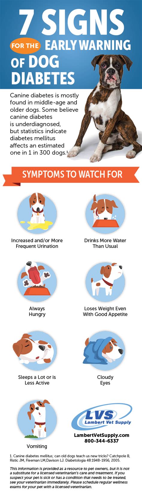 Seven Signs For Early Warning Of Dog Diabetes Well Pet Post Lambert