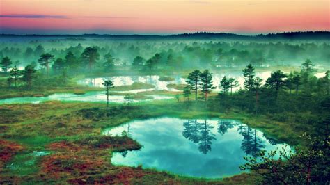 Sfondi Paesaggio Foresta Lago Natura Riflessione Mattina Nebbia