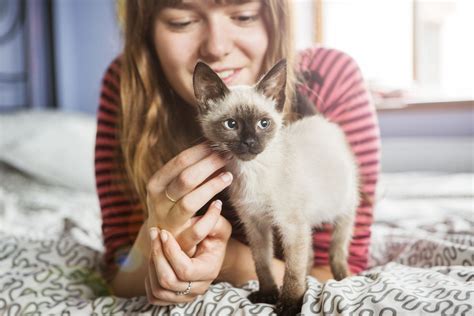 12 Ways Cats Show They Love You