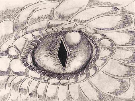 2.5mm square diamond,2.8mm round diamond about diamond quantity: Dragon Eye | Free Images at Clker.com - vector clip art ...
