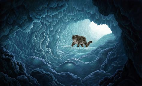 In The Cave White Tiger Cave Animals Hd Wallpaper Peakpx