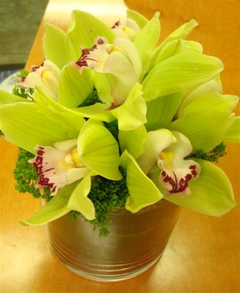 This Is An Arrangement Featuring Green Cymbidium Orchids See Our Entire Selection At