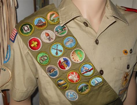 Placement Of Merit Badges On Sash Howtotrainyourdragonpolaroidposter