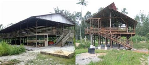 Selain itu dengan lantai tanah, kandang tidak lembab karena urine kambing diserap tanah. bukan doktor veterinar: Penternakan Kambing Tenusu