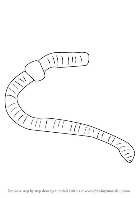 Learn How To Draw A Worm Worms Step By Step Drawing Tutorials