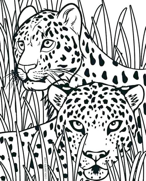 Cheetah Coloring Pages To Print Cheetah Coloring Page Printable Kids