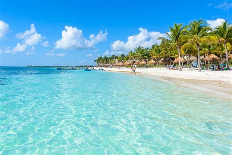 These 4 Beaches Near Cancun Have No Sargassum Seaweed Cancun Sun