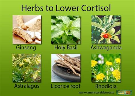 Pin By Emma Tejeda On My Temple Herbs Hormone Health Cortisol