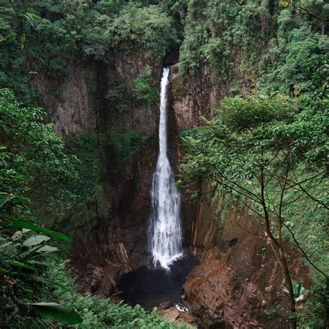 Catarata Del Toro Waterfall Guide Costa Rica