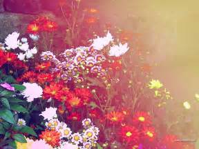 Floral Computer Wallpapers - Wallpaper Cave