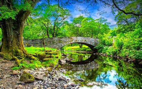 Summer Landscape Stone Mostmala Calm River Stones Trees With Green