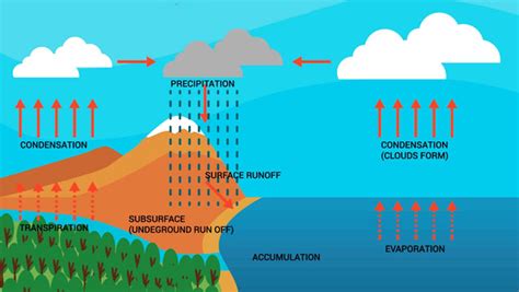 Water Cycle