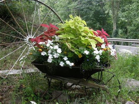 25 Wheelbarrow Planter Ideas For Your Garden Garden