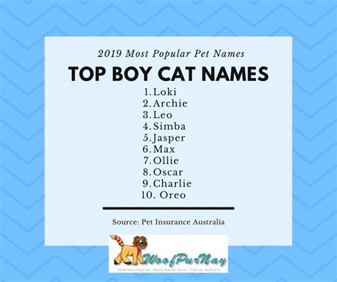 Most Popular Pet Names Of 2019 — Woofpurnay Veterinary Hospital