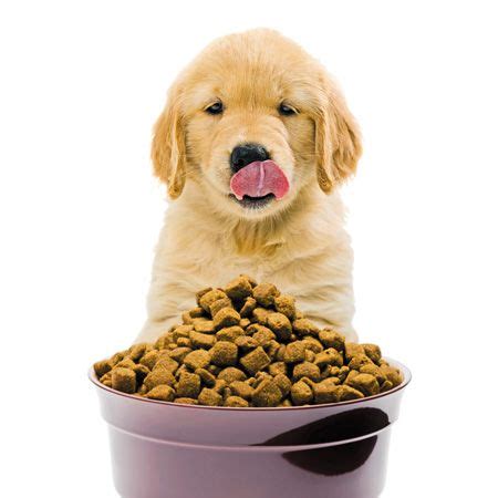 Let our holistic vet address these myths and more about pet food. Pet food facts-and fiction