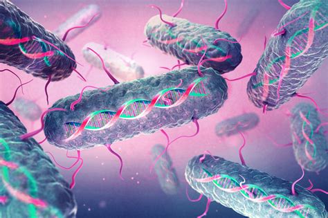 New Method Opens The Door To Efficient Genome Writing In Bacteria Mit