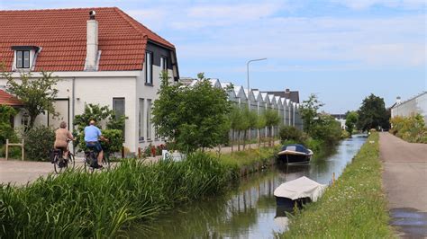 Een Dagje Kassen Lekker Westlands Bezoek Westland