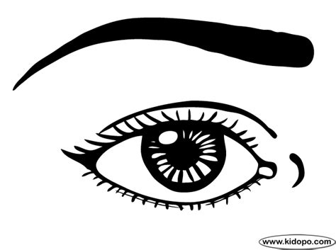 Human Eye Coloring Page Goimages Free