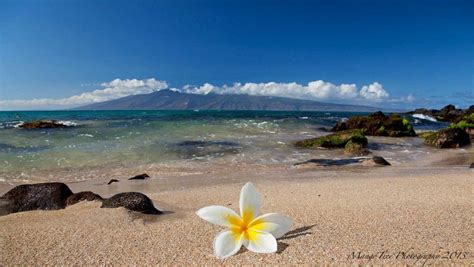 Happy New Year From Mauis Kaanapali Coast And Hawaii Picture Of The