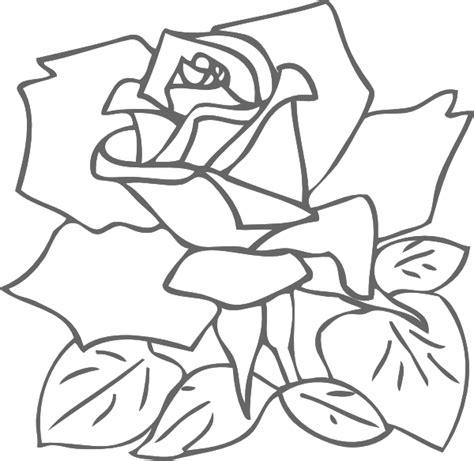 Rose Drawing Pink Clip Art Roses Outline Png Download 600584