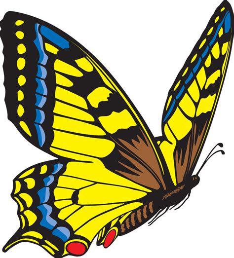 Flying Butterfly Clip Art Clipart Best